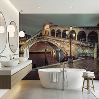 Famous Rialto Bridge, ancient stone structure, dramatic wall covering, Venetian waters.