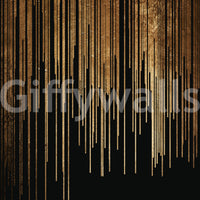 Brings the wonders of the universe indoors.

