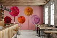 Five perfectly formed dahlia flowers.

