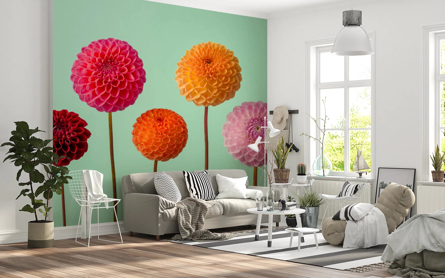 Detailed petal textures in this Vibrant Dahlias Wall Mural print.