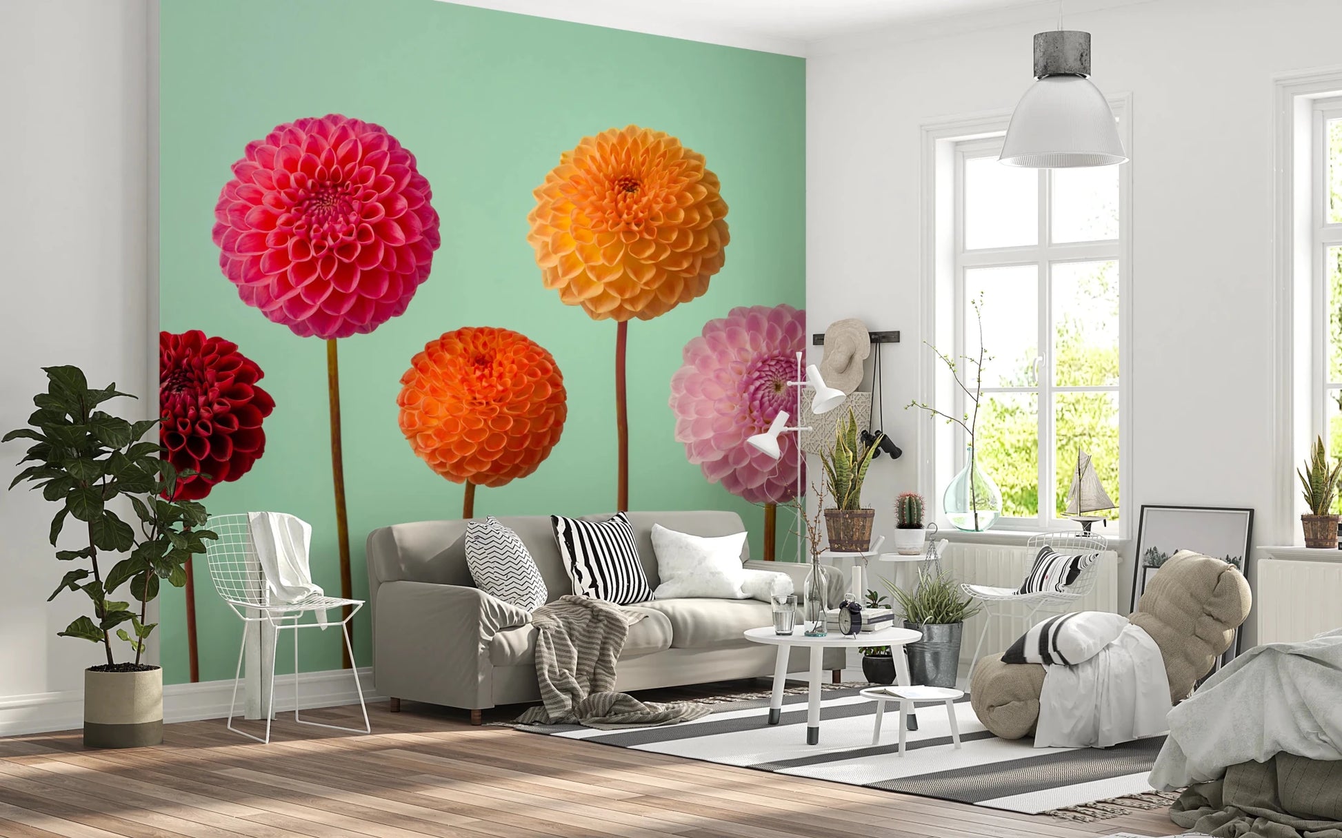 Detailed petal textures in this Vibrant Dahlias Wall Mural print.