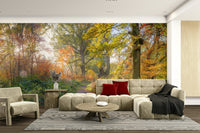 Soft sunlight filtering through trees.

