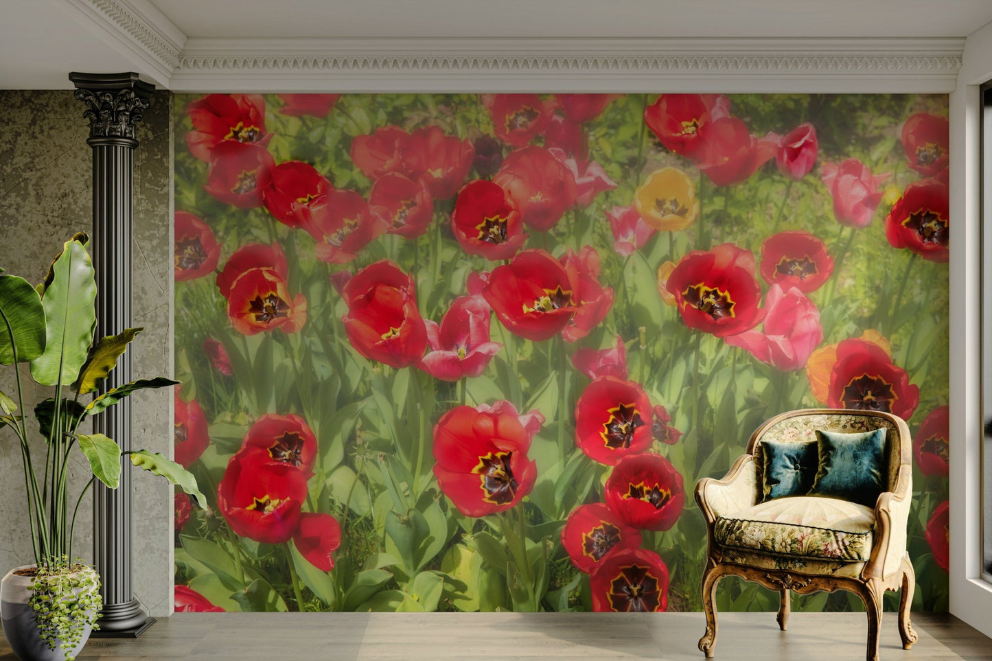 beautiful field of red flowers

