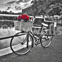 Vintage Bloom Ride Wall Mural