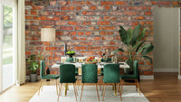 Textured brick mural adding character to walls

