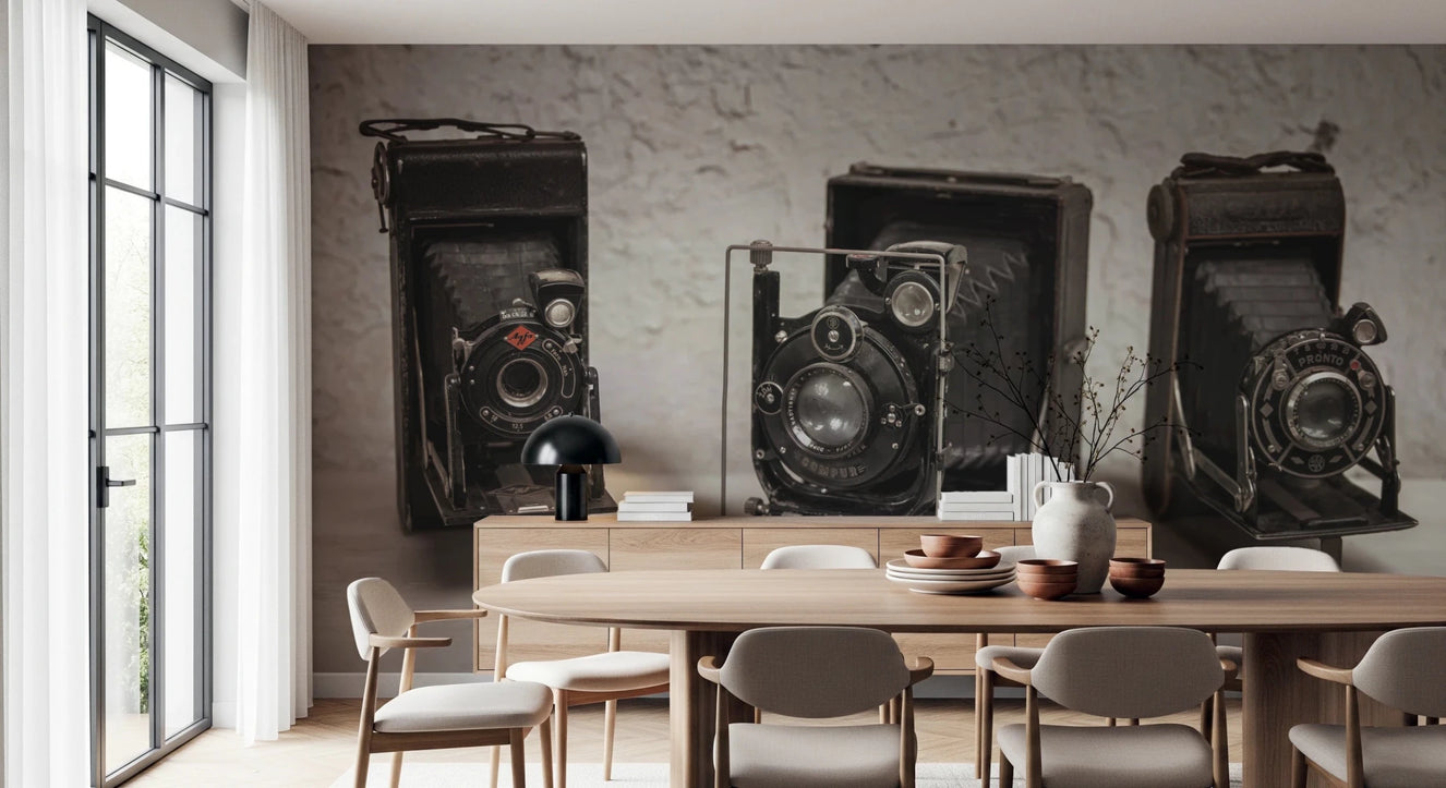 Vintage Camera Trio Wall Mural