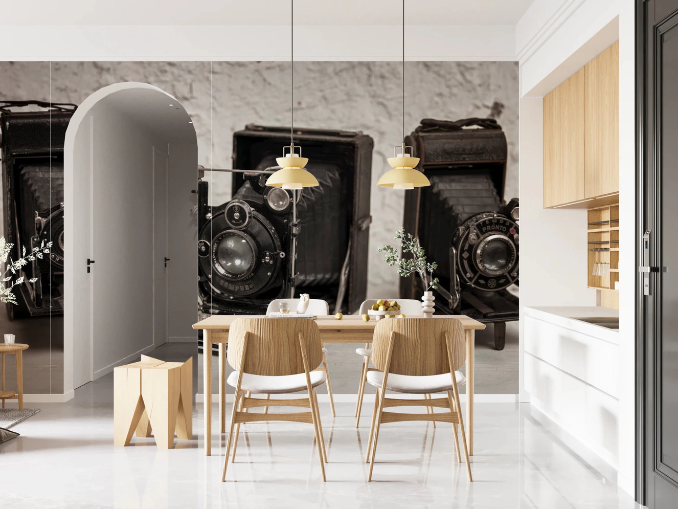 Vintage Camera Trio Wall Mural