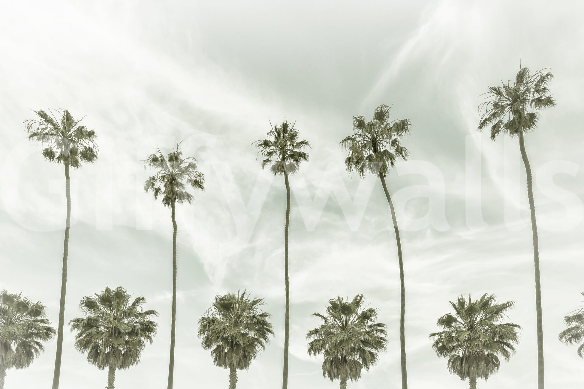 Timeless vintage palm tree wallpaper for coastal room design.

