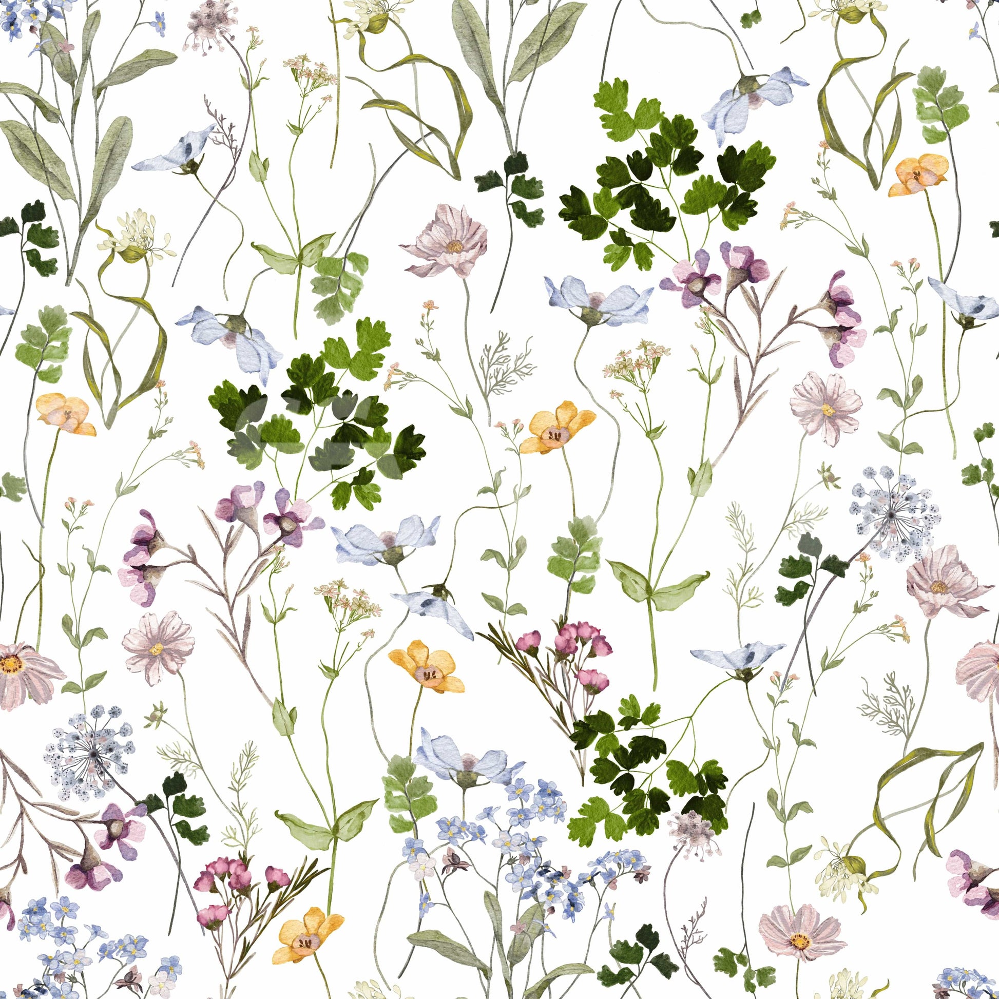 Wildflower Early Summer Meadow Wallpaper in a sunny breakfast nook.