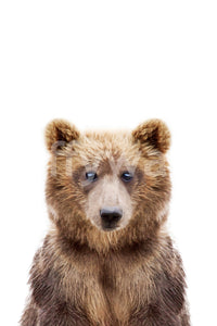 Sleeping baby bears wallpaper for calm interiors

