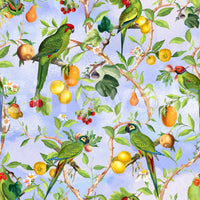 Nature-inspired wallpaper showcasing exotic birds and flora.

