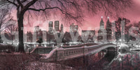 Pink Dusk over Central Park mural bringing peace and tranquility to your space.

