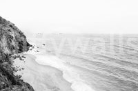 California coastline mural in striking monochrome.

