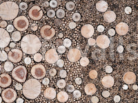 Mixed-size timber slice mural

