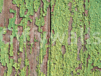 Farmhouse timber wall mural

