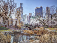 City park bridge wallpaper for rooms
