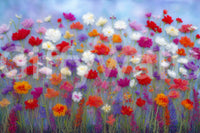 Brings the beauty of the outdoors inside

