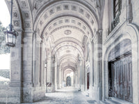 Wallpaper for walls with timeless appeal
