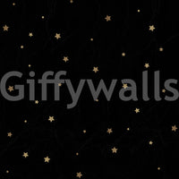 Stars on black sky mural bringing celestial charm indoors

