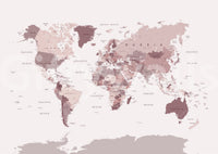 World geography wall mural in blush tones

