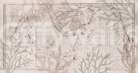 Nature-inspired mural with East India trade map

