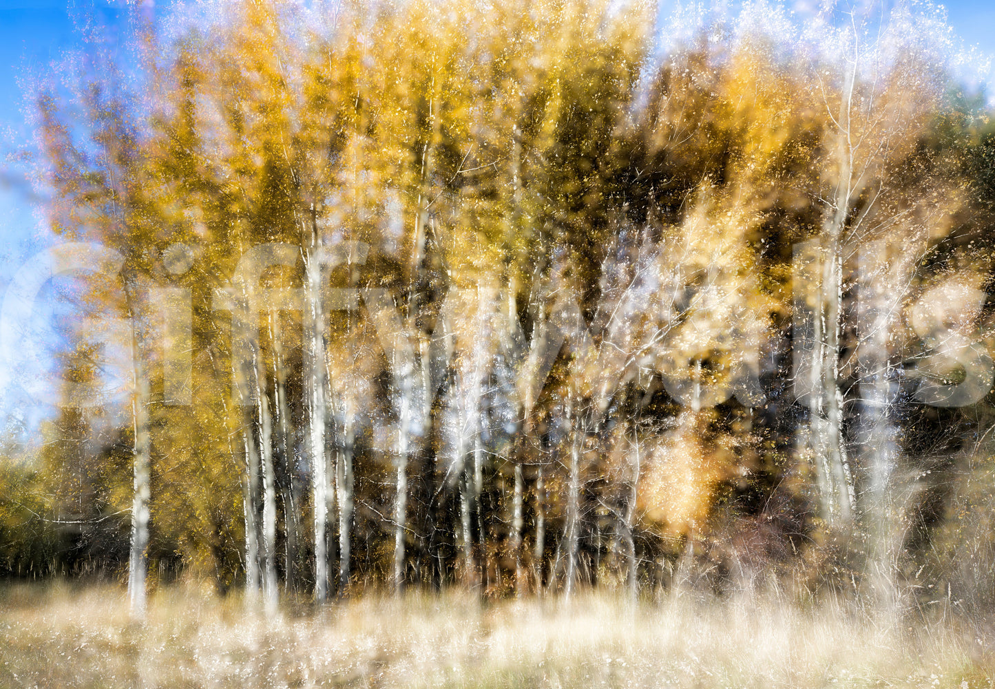 The Autumn Whisper mural gives the space a serene and artistic touch.

