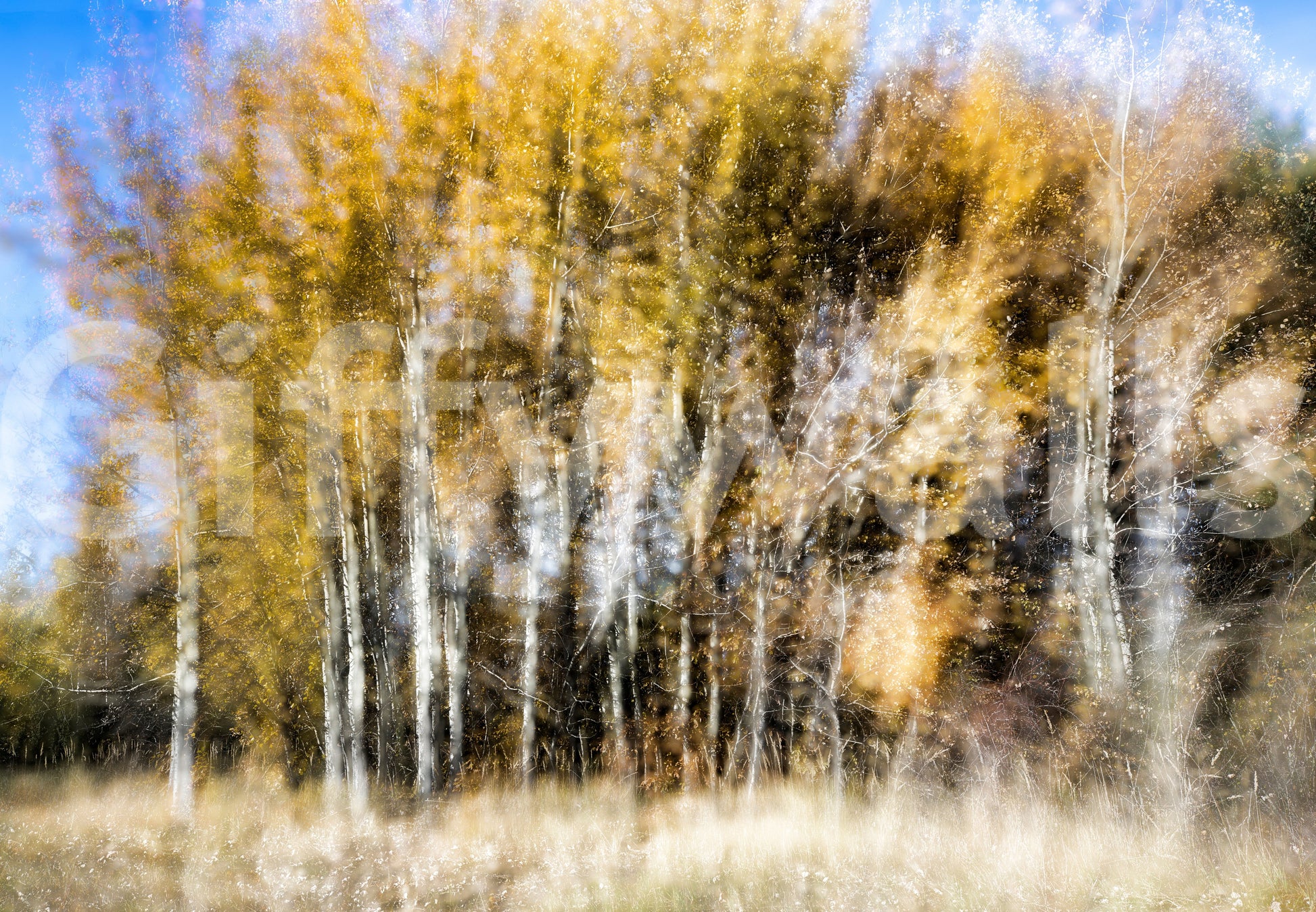 The Autumn Whisper mural gives the space a serene and artistic touch.

