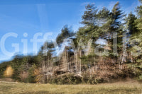 The Ethereal Forest mural creates a serene and artistic focal point.

