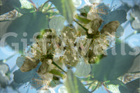 Soft floral texture wall design
