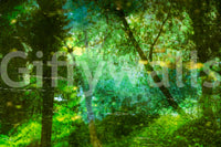 A harmonious statement piece for any home.

