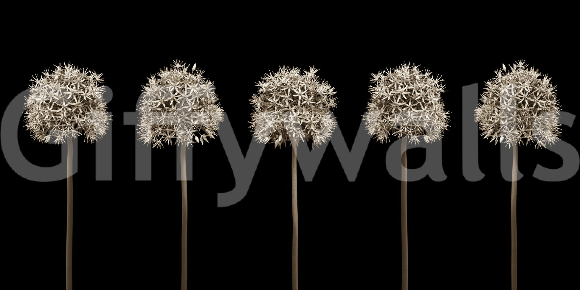 Wall decor evoking simple elegance and nature.

