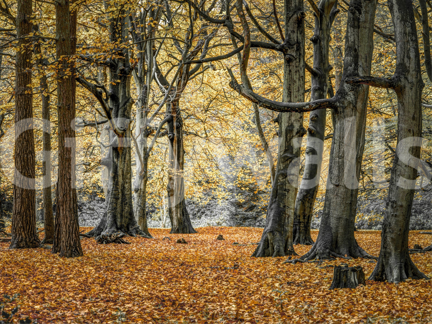 Harmonious and grounding aesthetic.

