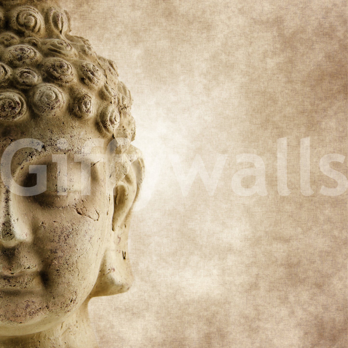 Buddha's Grace Wall Mural