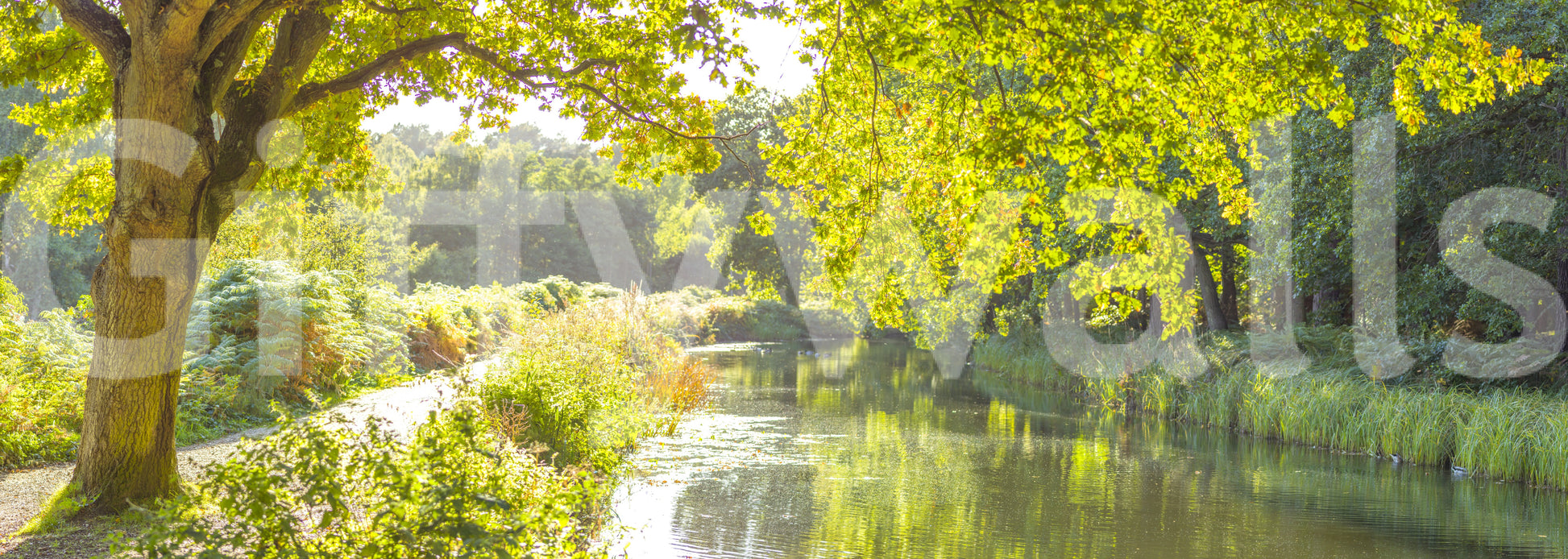 Wall decor evoking serenity and nature's calm.

