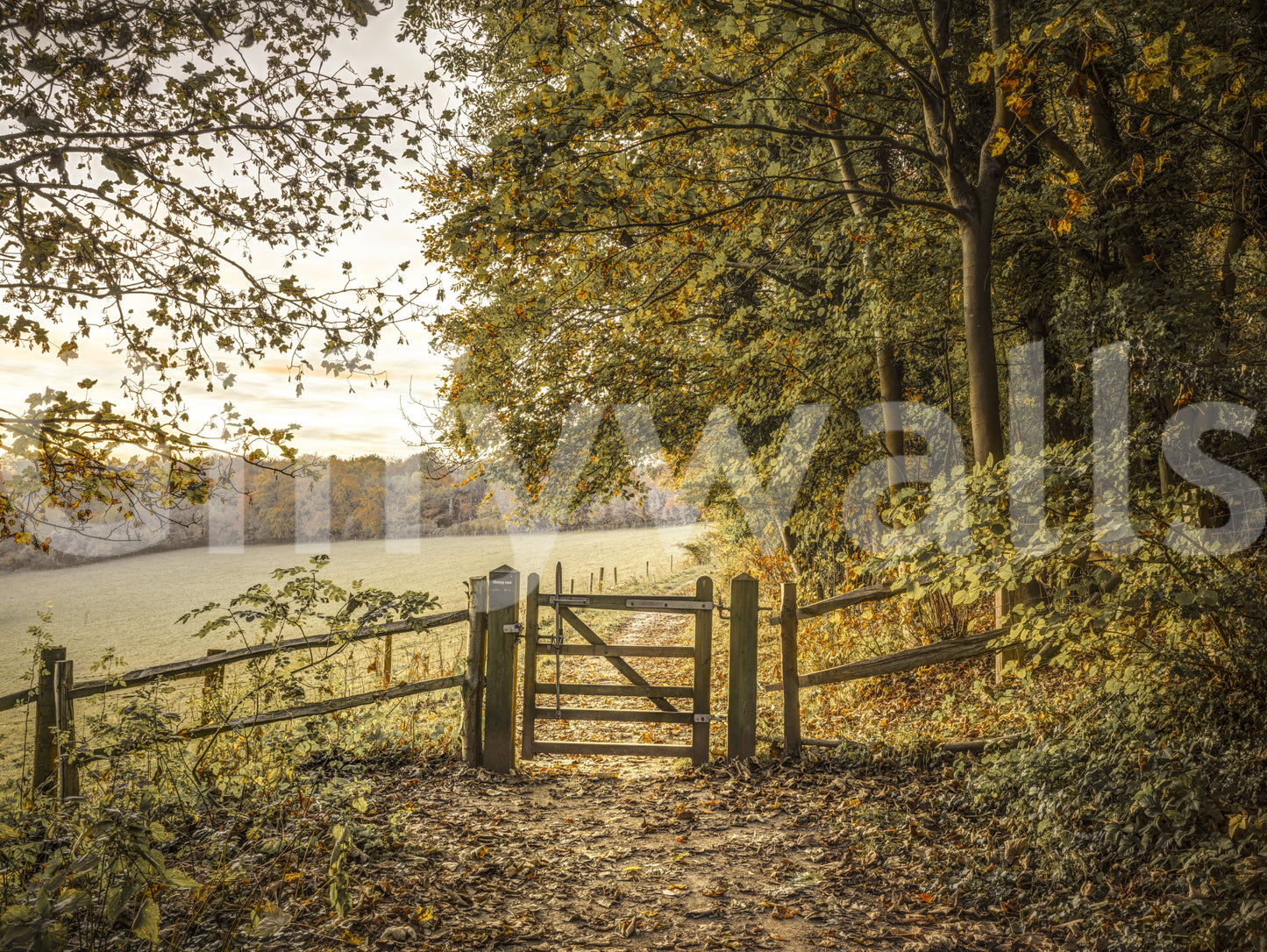 Wall decor evoking the beauty of fall.

