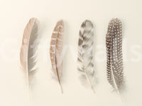 Soothing and inviting wall art.

