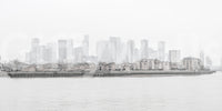 Captures the essence of a city enveloped in a soft, atmospheric haze.
