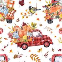 Captures the essence of a bountiful fall harvest.
