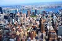 Provides a sophisticated and artistic backdrop.
