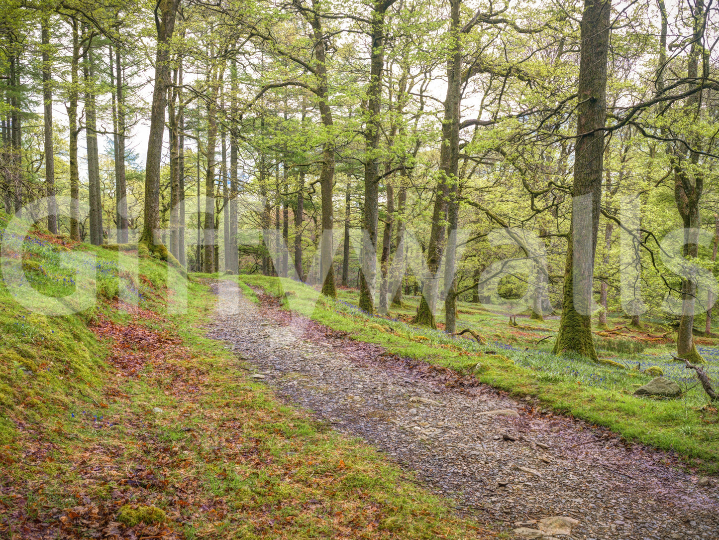 The design is realistic and detailed.

