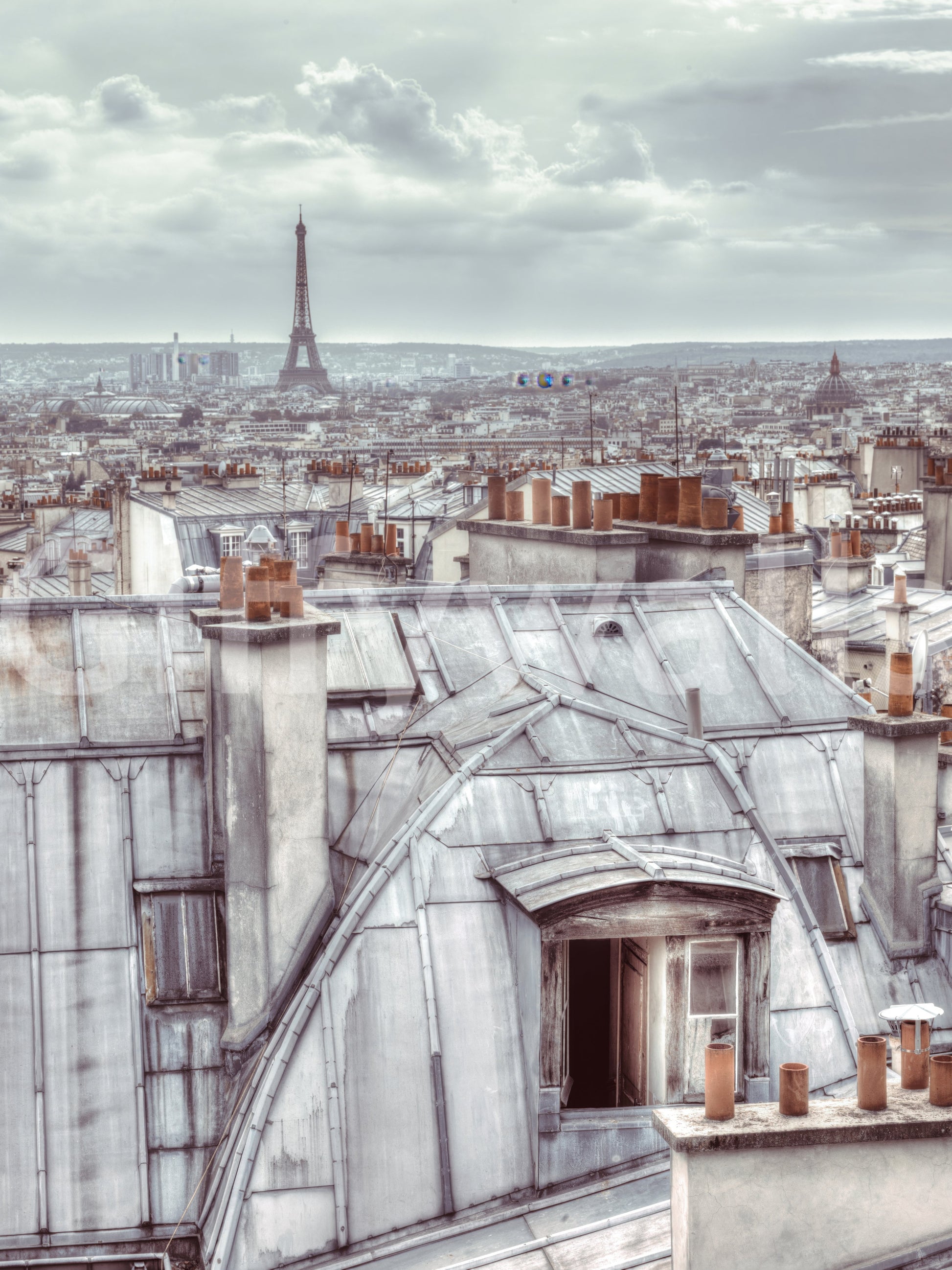 The rooftops are the central focus of the image.

