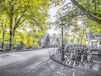 The Street of Amsterdam mural gives the space a fresh and sophisticated feel.

