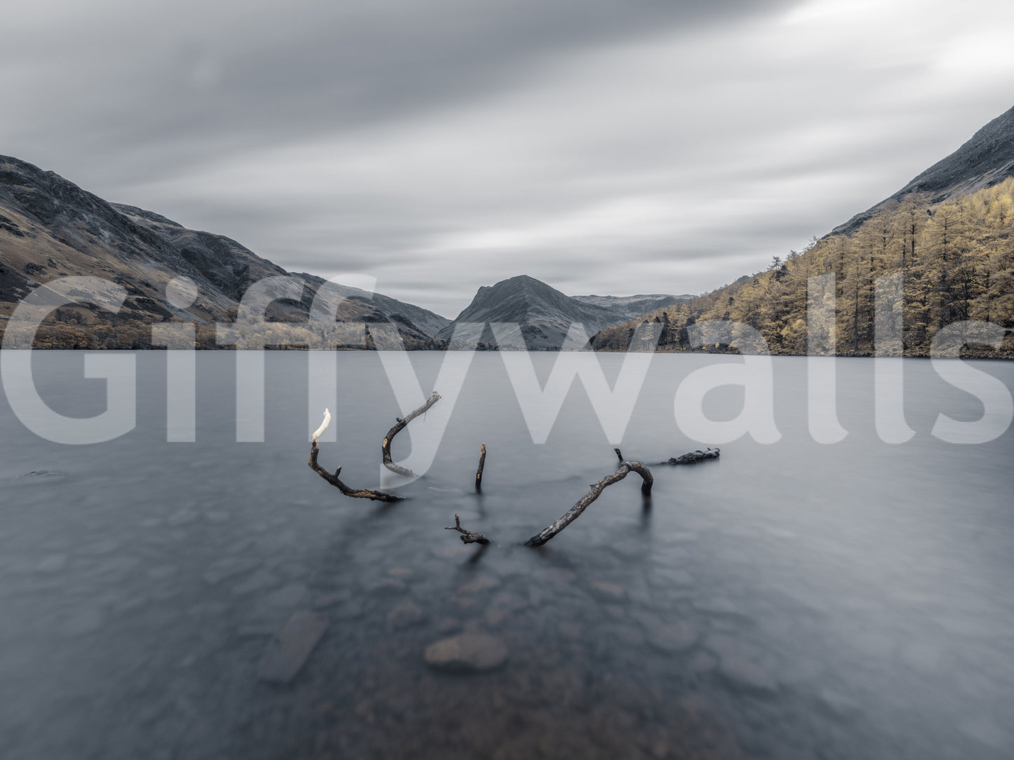 The composition is wide and panoramic.

