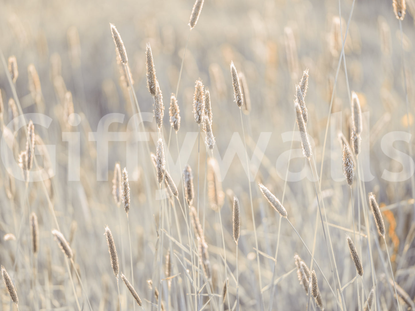 The design is non-realistic and interpretive.

