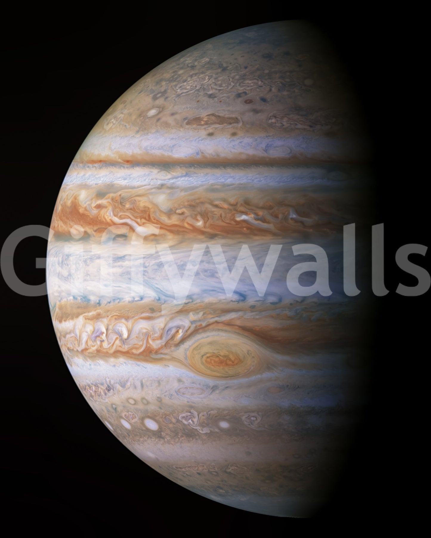 Jupiter's Majesty Wall Mural