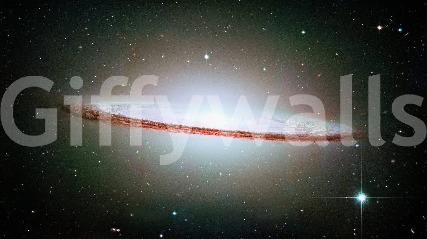 The design is non-realistic and interpretive.

