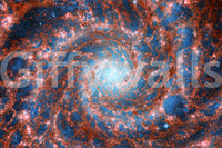 The design is non-realistic and interpretive.

