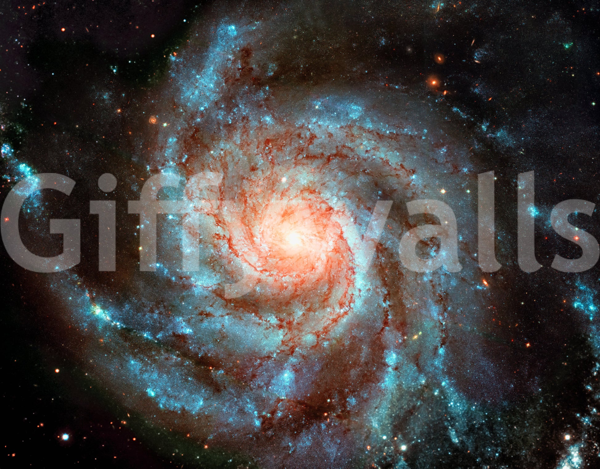 The wallpaper has a smooth, non-reflective matte finish.

