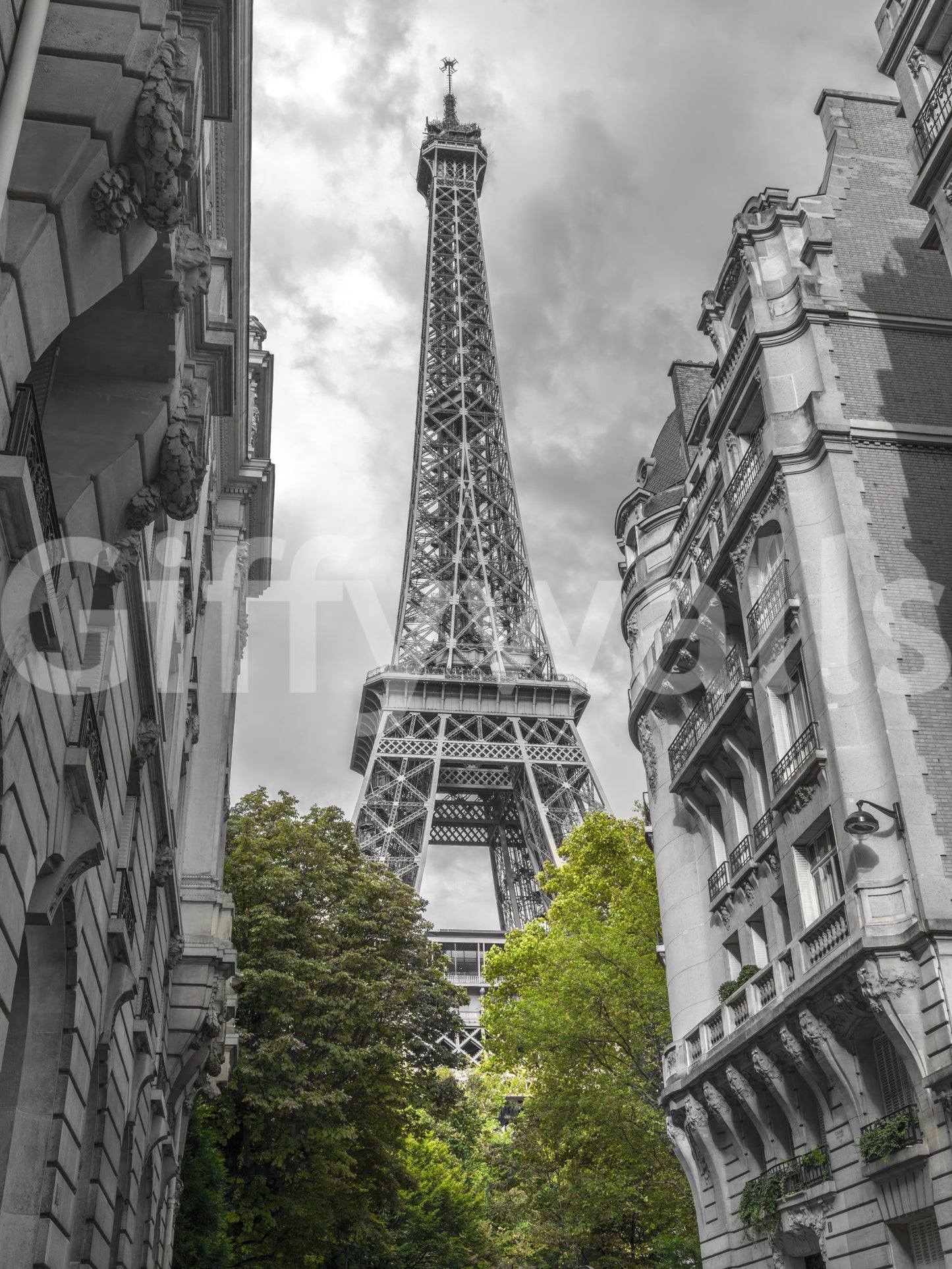 The wallpaper has a smooth, non-reflective matte finish.

