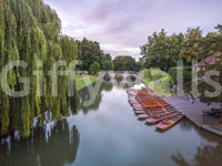 The wallpaper has a smooth, non-reflective matte finish.

